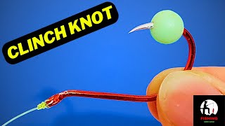 How to Tie a Clinch Knot Step by Step  Fishing Knots  Fishing Guide [upl. by Ailegnave335]