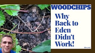 Back to Eden Woodchips didnt work [upl. by Callahan]