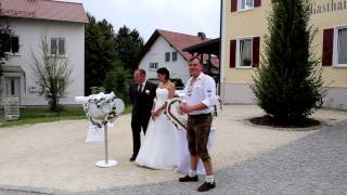 Ein Video von meinen Hochzeitstauben Illertissen Ulm Laupheim [upl. by Kissie]