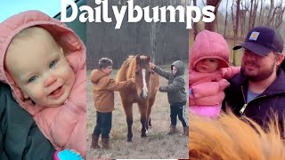 NEW DailyBumps STORIES  Part 6 [upl. by Omor]