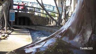 quotVikings Revengequot Flume Ride HD POV Sea World Australia [upl. by Alpers344]