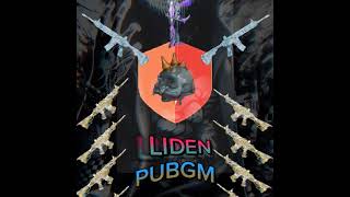 liden pubgm efirda [upl. by Anerom262]