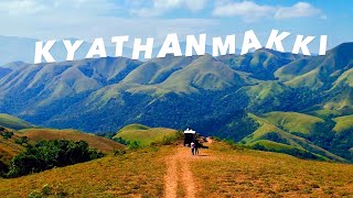 Kyatanamakki 💚 in DollyZoom [upl. by Agrippina]