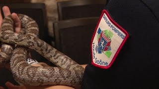 La formation des pompiers de HauteSaône 24 [upl. by Zachar857]