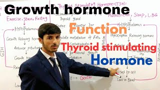 Growth hormone  Thyroid stimulating hormone  Somatotropin Gigantism amp dwarfism  Endocrine system [upl. by Yecrad]