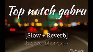 Top notch gabru slow  reverb 🤘 [upl. by Dry]