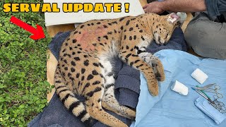 WHAT HAPPENED To My CAT  I CANT BELIVE THIS… [upl. by Clyte454]