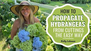 How To Propagate Hydrangeas From Cuttings the Easy Way [upl. by Shuman]