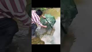 New fishing tarik fishingvideo shortfeed funny trending comedy shortfeed funny shortfeed [upl. by Odareg519]