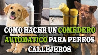 ¿Como hacer un DISPENSADOR de COMIDA para perros callejeros  Cheke 97 [upl. by Sadonia]