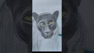 Black Panther drawing IIpantheraleo animaldrawing easydrawing tamilshorts shortsfeed black [upl. by Inek]