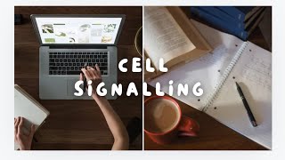 Cell Signalling Key Pathways Mechanisms and function study notes [upl. by Sew]