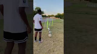 Curving the ball please don’t pass this without subscribing [upl. by Nahama]