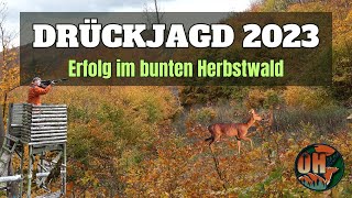 🐗DRÜCKJAGD im bunten Herbstwald🐗 I 2023 [upl. by Huldah]