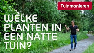 Welke planten doen het goed in een natte tuin  Tuinmanieren [upl. by Htesil]