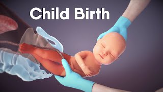 Labor And Delivery  Childbirth  Dandelion Medical Animation labor [upl. by Joiner]