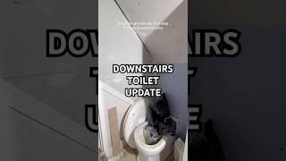 Downstairs Toilet update So exciting [upl. by Walli123]