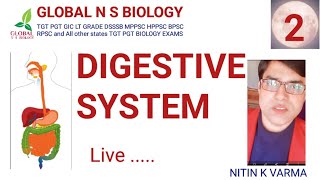 Digestive system Lecture 2 [upl. by Ramel]