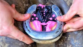 Shoeing Show Horse  Hoof Restoration  Trimming Horse With Underrun Heals satisfying foryou [upl. by Flor]