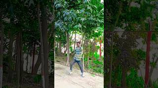 Beainshab New Dance Video shortsfeed shortvideo dance [upl. by Ellora]