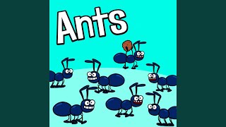 Ants [upl. by Ches]