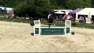 PUTALLAZ Philippe ROCHAMADOUR DU CEP CH ep 1 140 Champ Romands La Chaumaz 2014 [upl. by Lraed982]