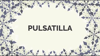 An attention grabber who seeks love of others  Pulsatilla personality [upl. by Galitea833]