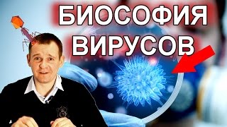 ВЛАСТЬ ВИРУСОВ Управление планетой и ВСЕМ человечеством [upl. by Nwatna]