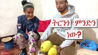 ትርንጎ ምንድን ነው [upl. by Aidnyl719]