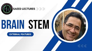 BrainStem External Features [upl. by Frederiksen]