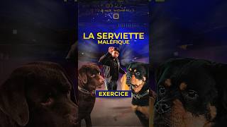 Votre chien y arriveratil   Exercice [upl. by Eelatsyrc323]