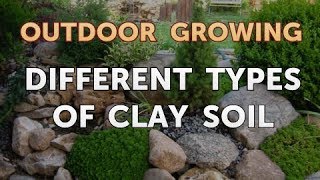 Different Types of Clay Soil [upl. by Eirrol560]