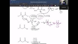 Malonic Ester and Acetoacetic Ester Synthesis [upl. by Judus783]