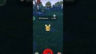 See how I Catch a Dedenne in Pokemon go pokemon pokemongo [upl. by Yllod]