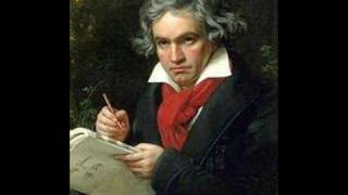 Beethoven 5th Symphony 1st movement Allegro Con Brío [upl. by Noswal]