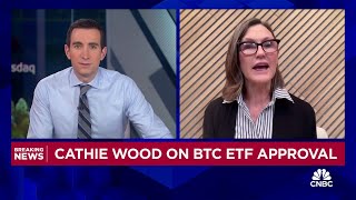 ARK Invest CEO Cathie Wood We believe that bitcoin is a public good [upl. by Naara]