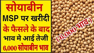 27 अक्टूबर 2024 aaj ka soybean bhav soyabean ka bhav soya ka rate soybean mandi bhavsoya plant [upl. by Mannes359]