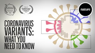 Coronavirus variants What you need to know [upl. by Gwenni]