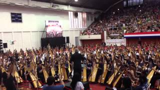 La Orquesta de Arpas más grande del mundo en el Desafio del Guinness Record [upl. by Analed]