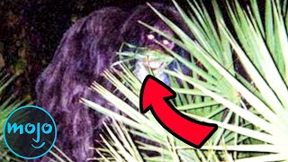 Top 10 Famous Real Life Monsters Caught on Camera [upl. by Maryanne42]