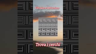 illusione del forziere trova i cerchi Gioco interattivo online gratis dintelligenza [upl. by Abagail]