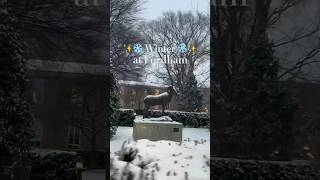 We want more snow plz 🥲❄️ Bronx Snow RoseHill Fordham Lana Taylor Snowonthebeach [upl. by Dedrick]