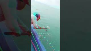 Amezing sea ile fishingfishing shortfeed shortvideo trendingshorts fishingshortvideo trending [upl. by Danita]