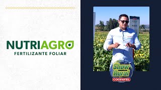 Nutriagro apresenta protocolo de nutrição para altas produtividades de soja [upl. by Eggleston]