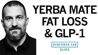 What is GLP1 amp How Does It Reduce Appetite amp Promote Weight Loss  Dr Andrew Huberman [upl. by Einaoj284]