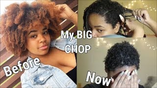 The Big Chop  I destroyed my 4c Afro  My New Natural Hair Journey [upl. by Verne475]