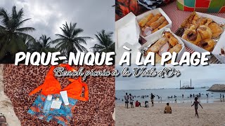 Day in my life piquenique à la Voile dor  Vlogs [upl. by Ueihtam]