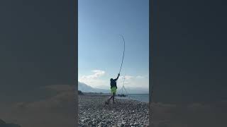 Orate long distance fishing surffishing fish surfcasting pesca fishingtips angler [upl. by Pump]