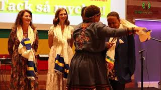 Ethiopian new year and Ethiopian dimts radio 31 years celebration in Stockholm 2024 [upl. by Arahd]