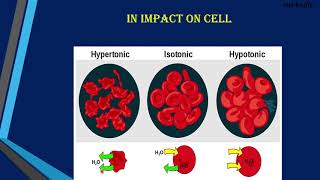 Osmosis Tonicity Plasmolysis Cell Part2  Class 9 Science  Enkindle [upl. by Wylen]